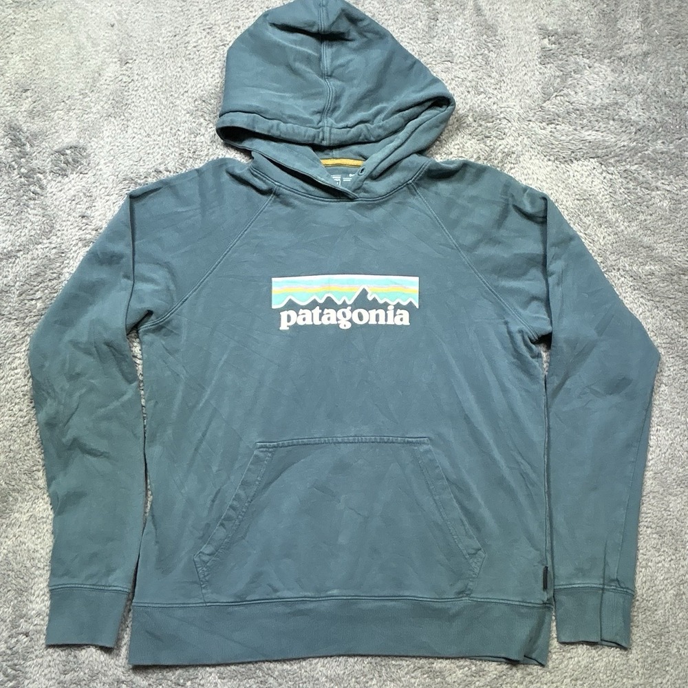 Patagonia Hoodie Women's L Blue Pastel P-6 Logo Organic Cotton Outdoor *SPOTS